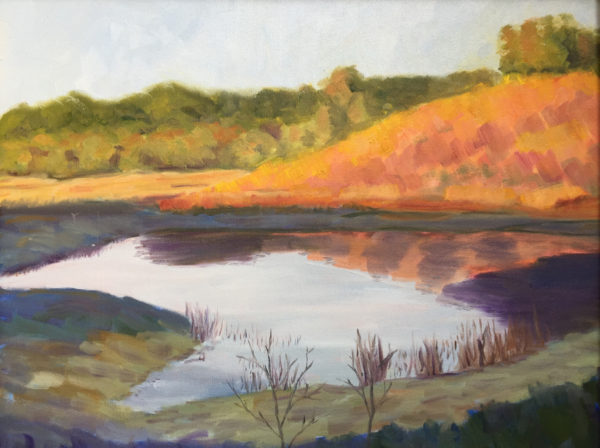 #79 - Bolinas Marsh, 16″ x 20″